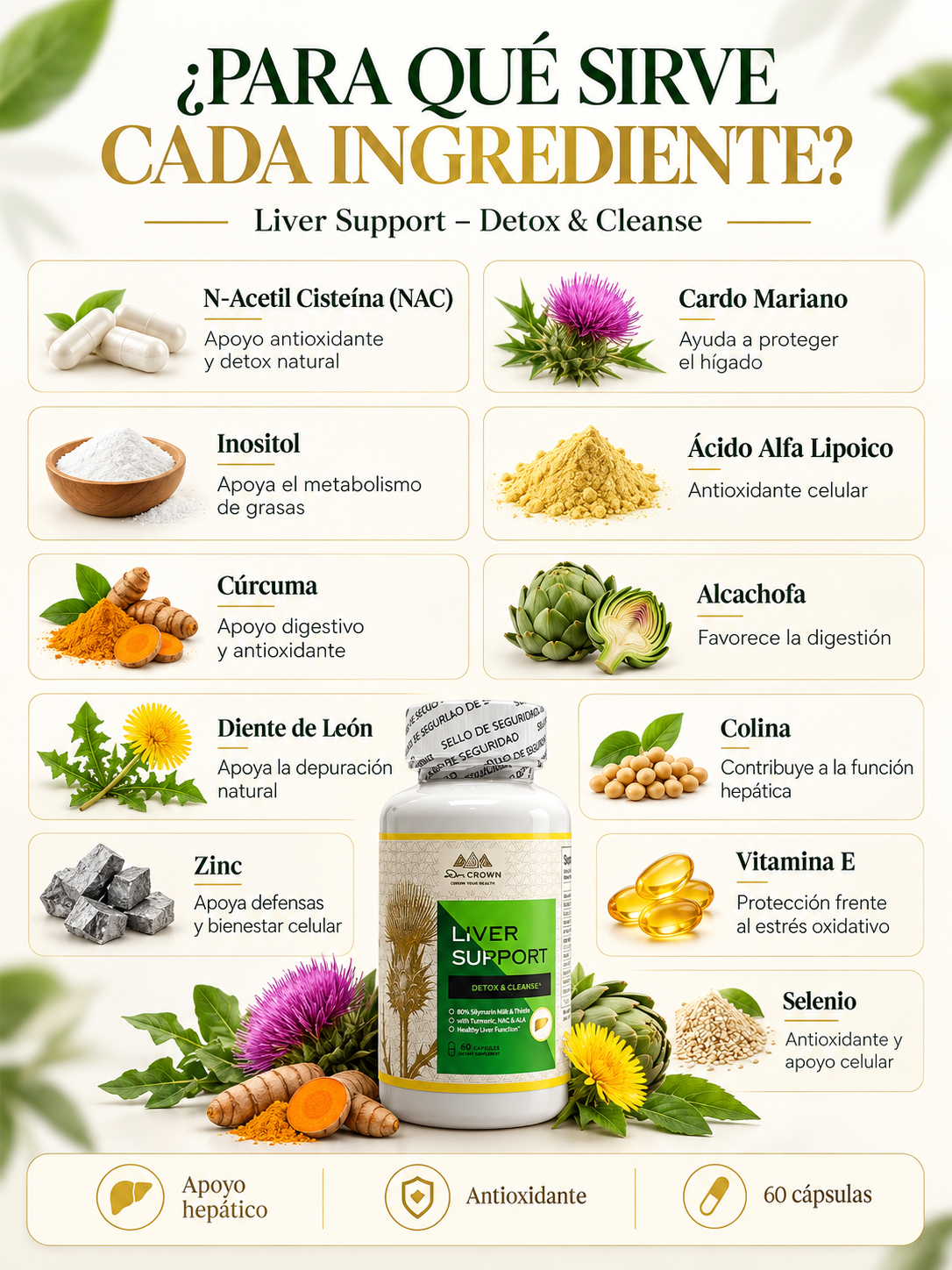 LIVER SUPPORT 60 CÁPSULAS – FÓRMULA COMPLETA PARA SANAR EL HÍGADO GRASO