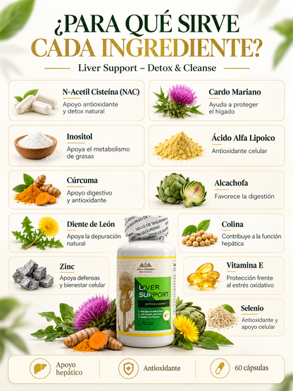 LIVER SUPPORT 60 CÁPSULAS – FÓRMULA COMPLETA PARA SANAR EL HÍGADO GRASO